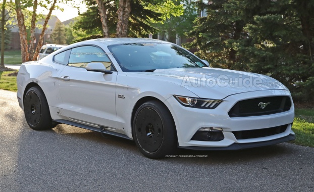 This Could Be The Next Mustang From Ford