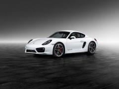 Porsche Exclusive's work on Porsche Cayman S pic #4589