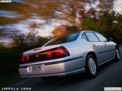 Impala photo #7748
