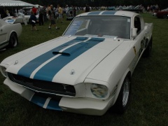 shelby super cars mustang gt350 pic #25339