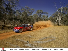 Xsara WRC photo #29621