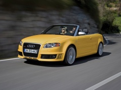 RS4 Cabriolet photo #44723