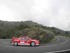 307 WRC photo #30551