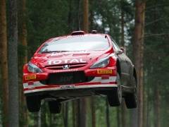 307 WRC photo #30574
