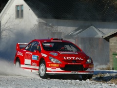 307 WRC photo #30579