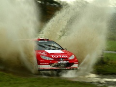 WRC photo #8246
