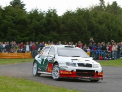 Fabia WRC photo #28937