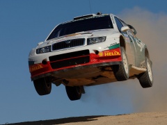 Fabia WRC photo #28953