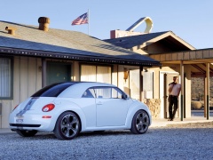 New Beetle Ragster photo #18920