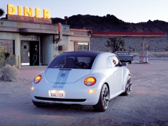 New Beetle Ragster photo #18925