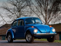 volkswagen beetle pic #98150