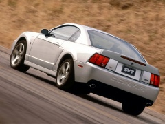 Mustang Cobra photo #10607