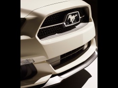 Mustang GT 50 Year Limited Edition photo #117275