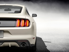 Mustang GT 50 Year Limited Edition photo #117281