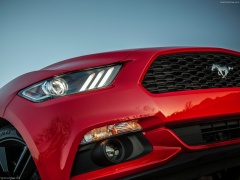 Mustang EcoBoost photo #129757