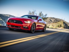 Mustang EcoBoost photo #129809