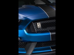 ford mustang shelby gt350r pic #135630