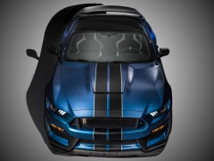 ford mustang shelby gt350r pic #135634