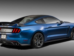 Mustang Shelby GT350R photo #135635