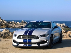 Mustang Shelby GT350 photo #149174