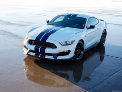 Mustang Shelby GT350 photo #149175