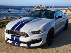 ford mustang shelby gt350 pic #149180