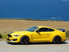 Mustang Shelby GT350R photo #149191