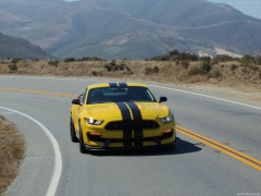 Mustang Shelby GT350R photo #149192