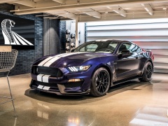 Mustang Shelby GT350 photo #188971