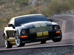 ford mustang shelby pic #33589