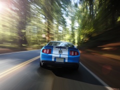 ford mustang shelby gt500 pic #60620