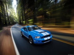ford mustang shelby gt500 pic #60626