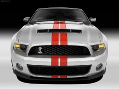 Mustang Shelby GT500 Convertible photo #71517