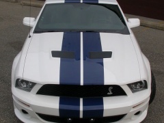 stangnet design mustang shelby gt500 pic #44686
