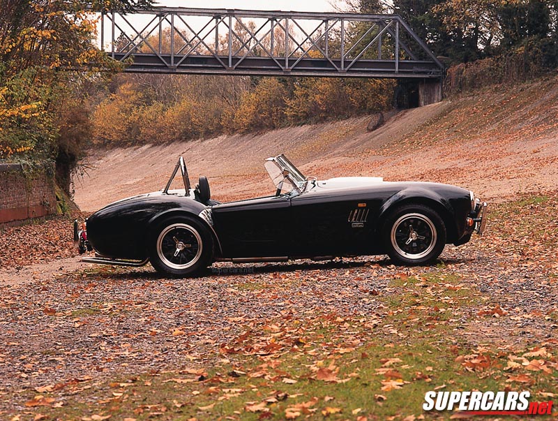 You can use this AC Cobra photo 31571 as wallpaper poster for desktop