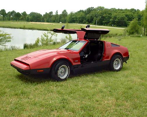 You can vote for this Bricklin SV1 photo