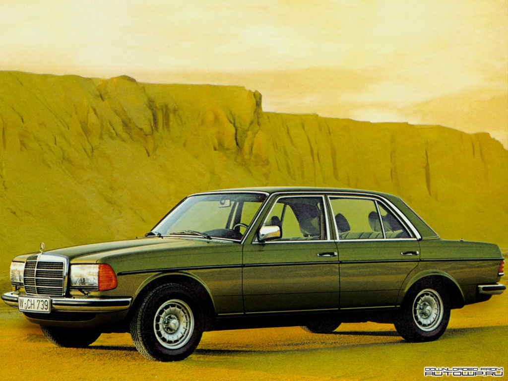 You can vote for this Mercedes-Benz E-Class W123 photo