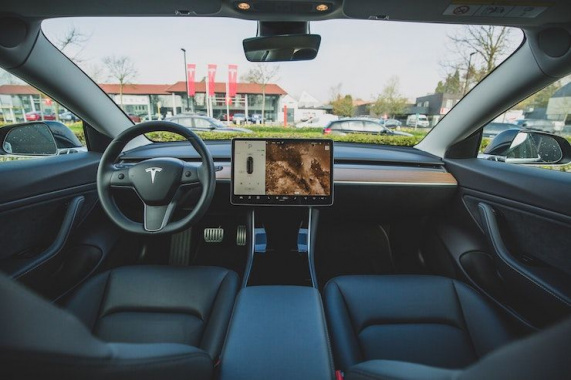 Tesla will make vegetarian versions of electric cars