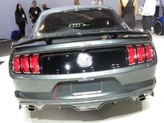 The Optimization of Mustang Q-Series by Steeda pic #3919