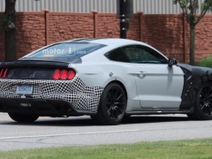 Paparazzi Caught 2019 Mustang Shelby GT500 Prototype pic #5587
