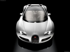 Veyron Grand Sport photo #57201