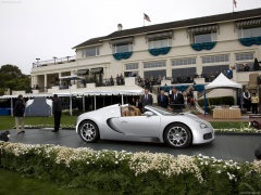 Veyron Grand Sport photo #62092