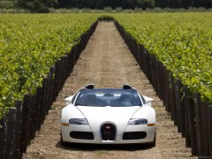 bugatti veyron grand sport pic #64995
