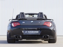 Hamann BMW Z4 M Roadster pic
