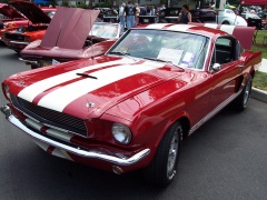 shelby super cars mustang gt350 pic #6052