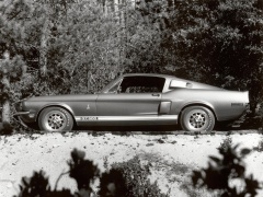 shelby super cars mustang gt500 pic #6059