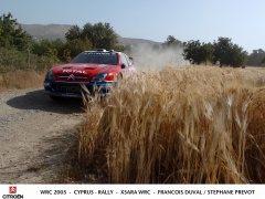 Xsara WRC photo #29615