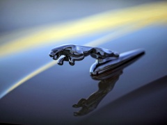 jaguar x-type pic #16702