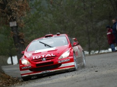 WRC photo #8238