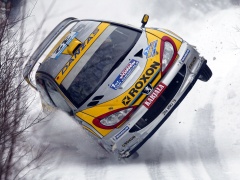 WRC photo #8241
